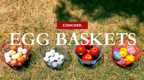 Versatility Of The Egg Baskets