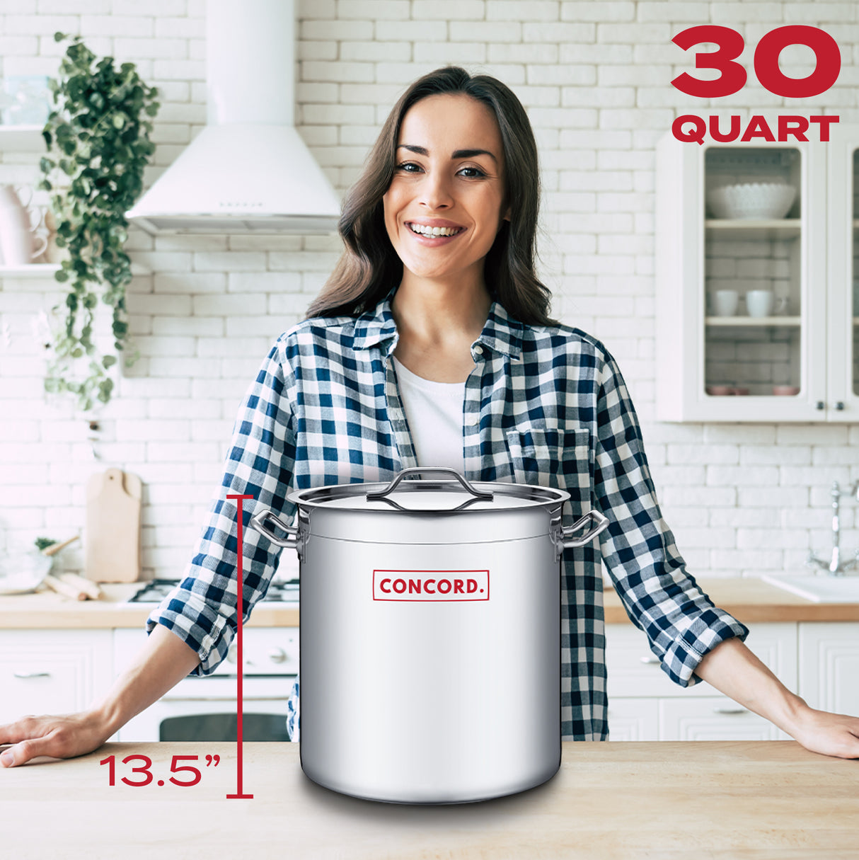 T-Series Professional Grade Stock Pot