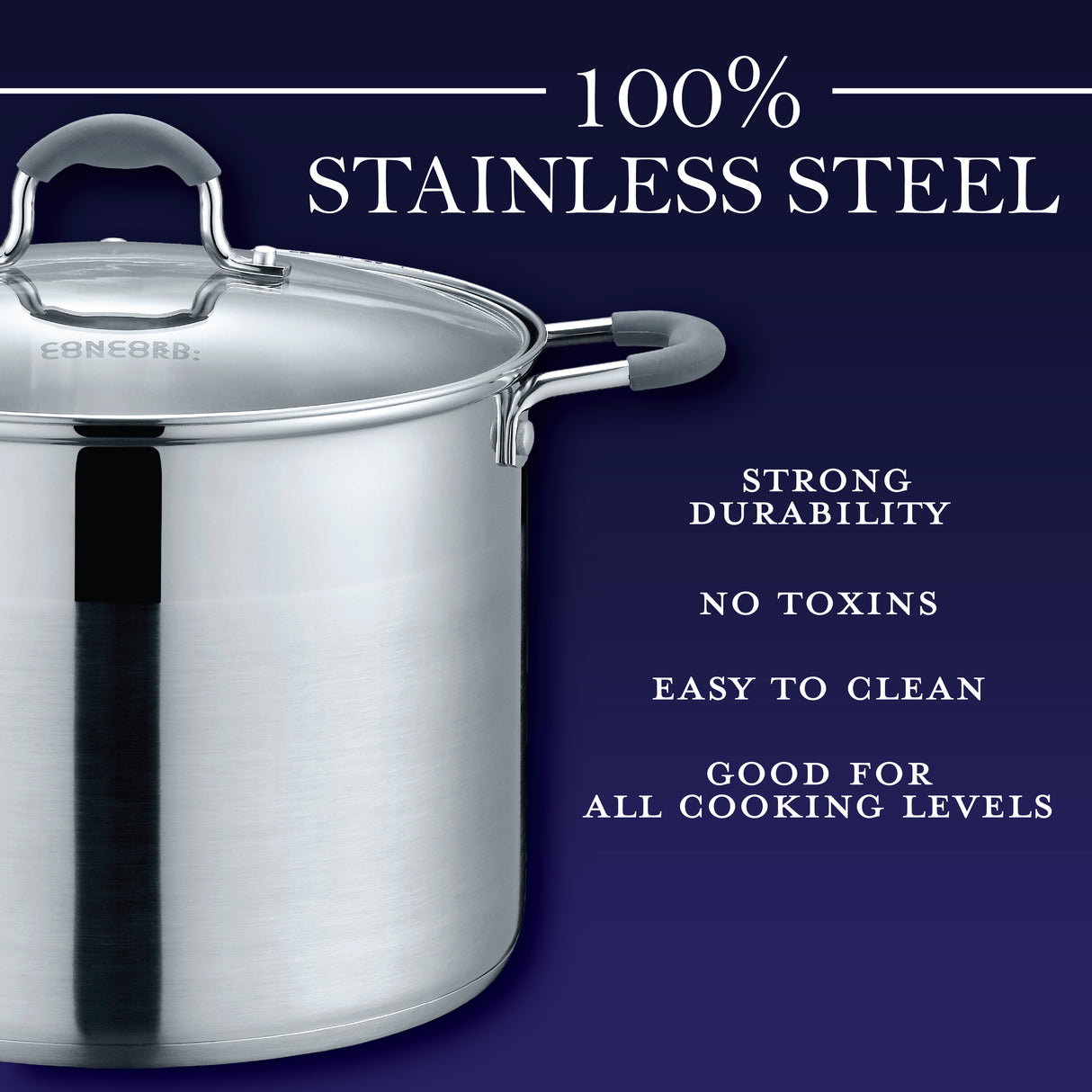 Stainless Steel Stock Pot with Glass Lid