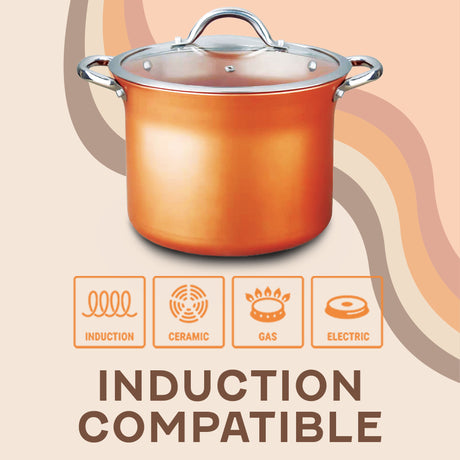 Concord Copperamic nonstick stock pot compatibility information