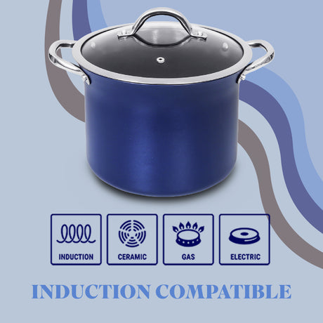 Concord Sapphire stock pot compatibility 