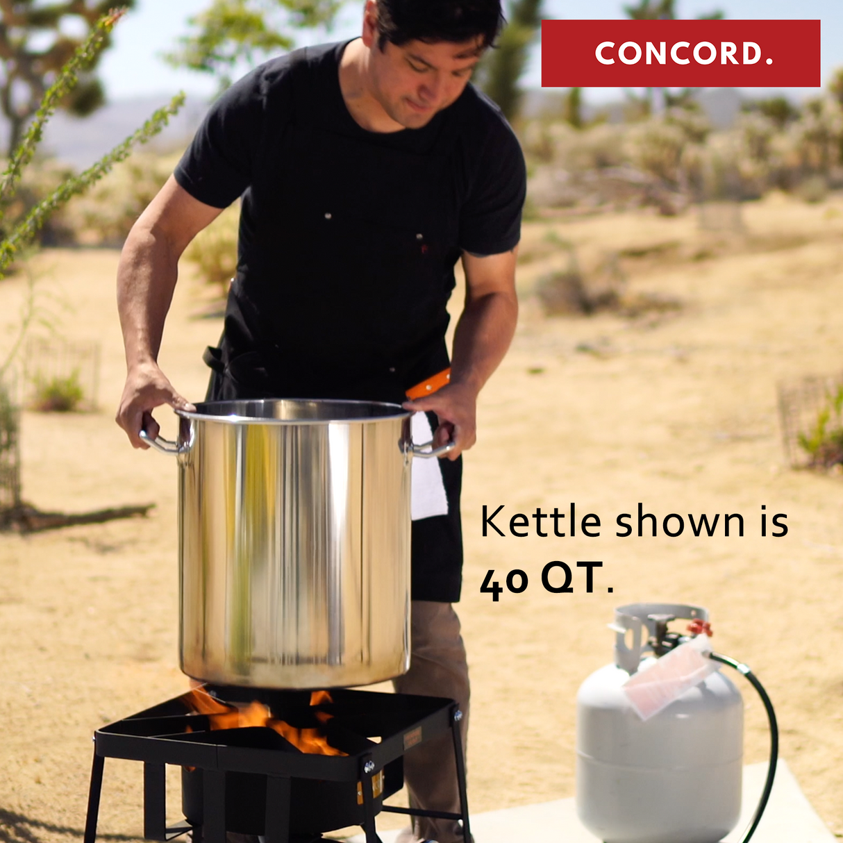 S-Series Stainless Steel Stock Pot